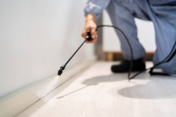 Licensed Mosquito Control service in Amherst, VA - Show Me Pest Control