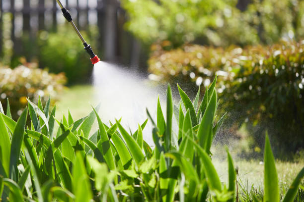 24/7 Emergency Mosquito Control experts in Amherst, VA