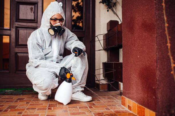 Reliable Mosquito Control contractor in Amherst, VA by Show Me Pest Control